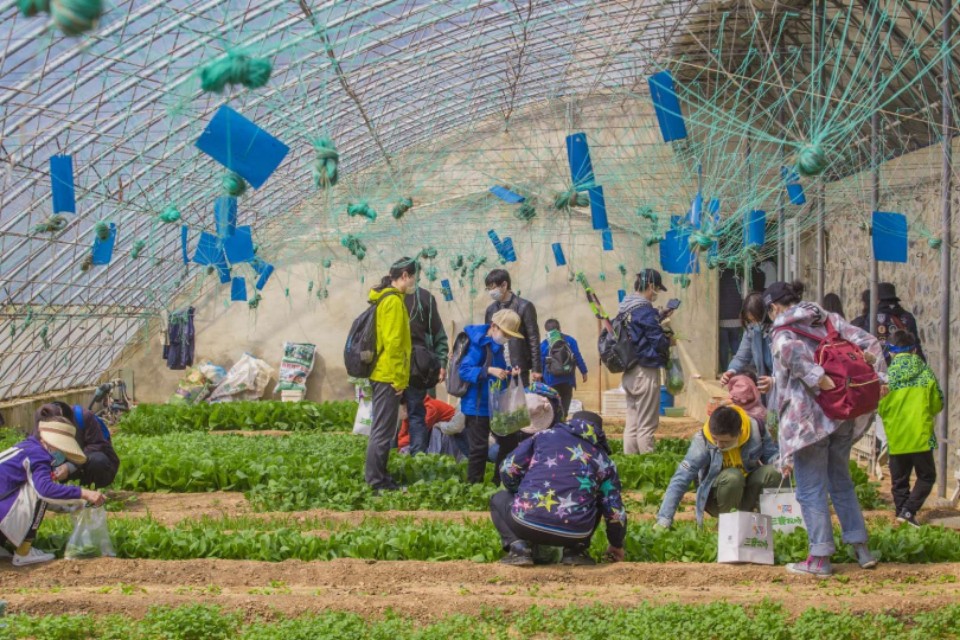 三寰牧场启动春耕节，别样活动促进后疫情时期文旅经济复苏。