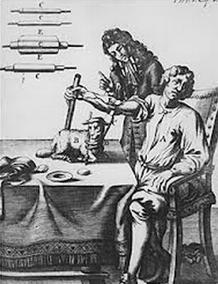 【树说】第二期-血疗