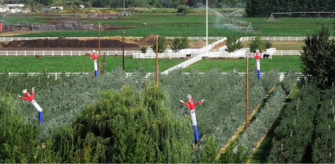 为什么商场门口的充气人偶总是舞得那么魔性