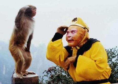 “猴年春晚”为何不请六小龄童？他的问题，比你想象的要多