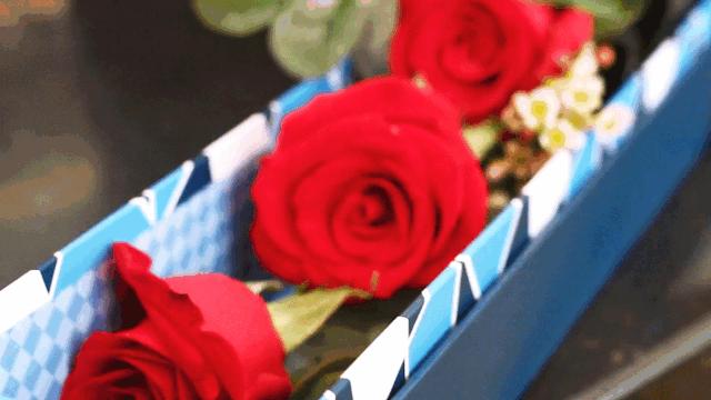 厦门这家超浪漫的鲜花餐厅,厦门最好看的花店