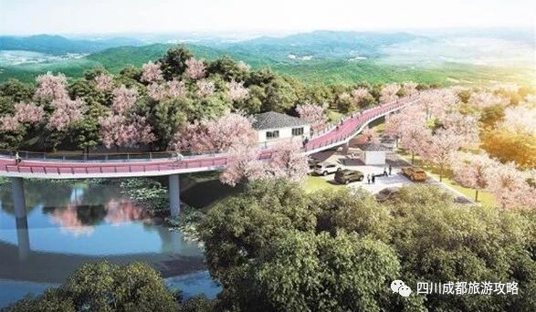 成都文青耍的地方,成都文青网红打卡地