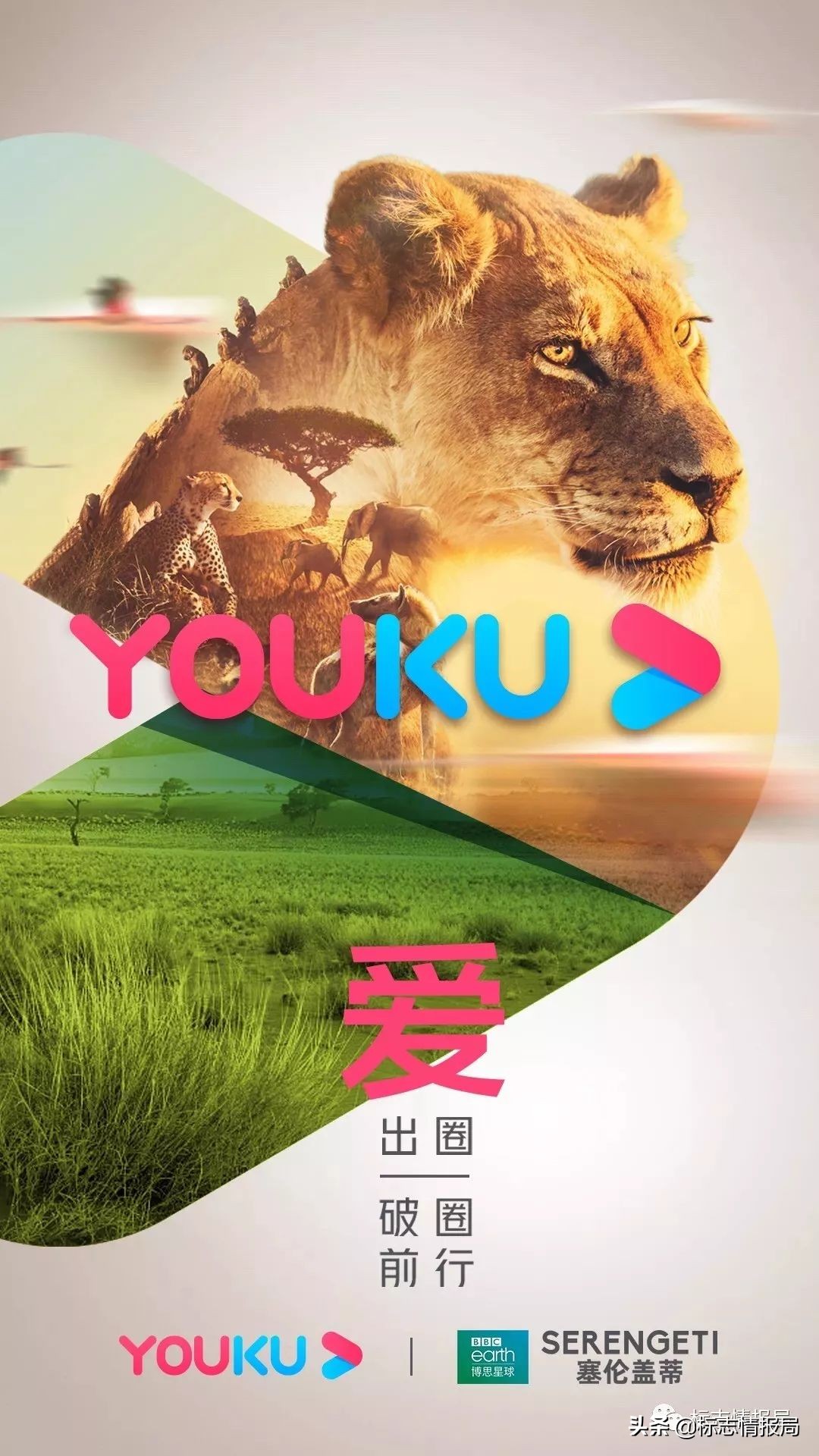 优酷为啥换logo,优酷为什么换了颜色