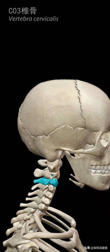 用3D来脊柱体表定位简单多了