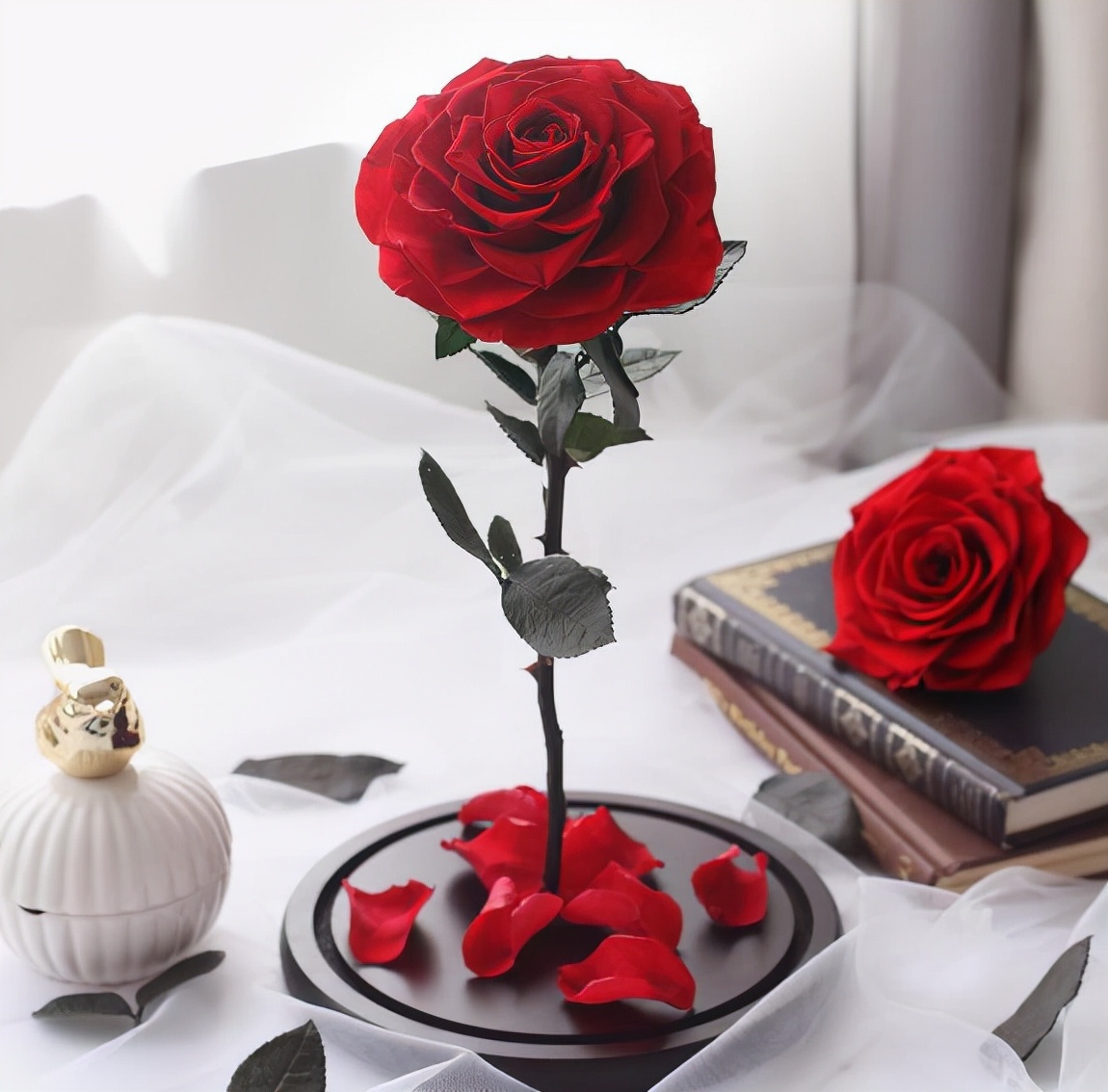 哪种花叫永生花,有种花叫永生花