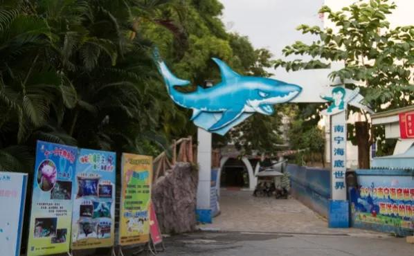 广西南宁十大景点介绍视频播放,广西南宁有哪些著名的风景区