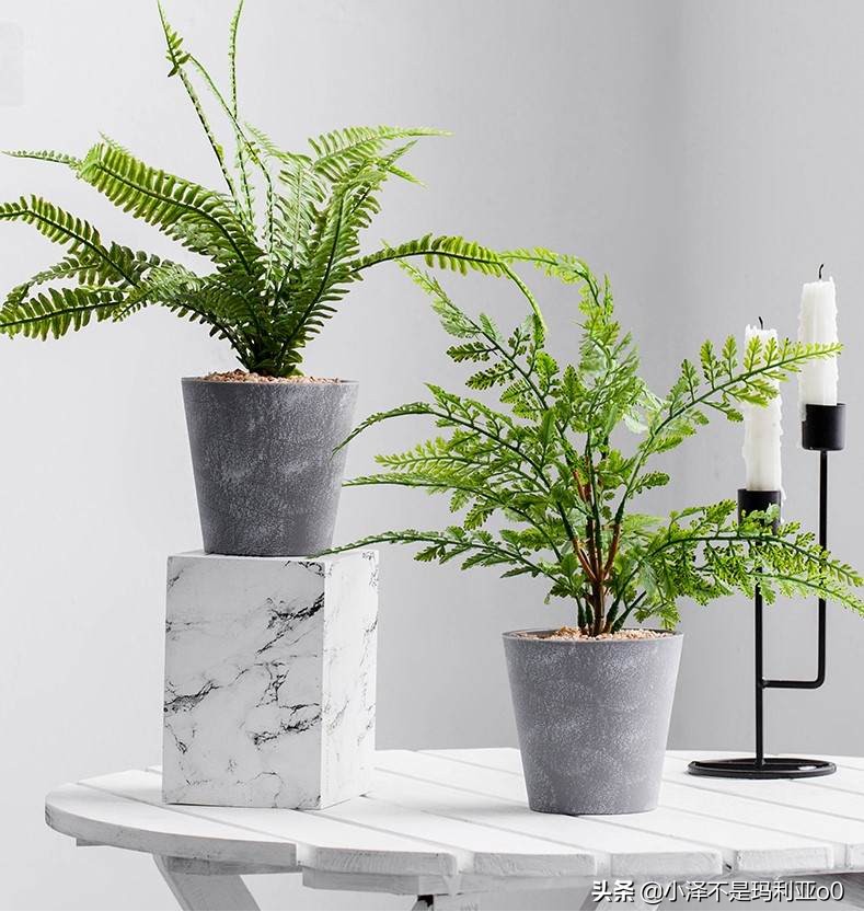 值得逛的家居店,推荐一家高颜值有格调的家居店