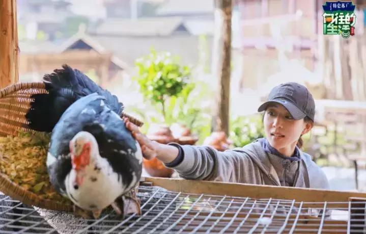 杨紫的脸、舒淇的嘴、张钧甯的腿：有野心，欲望从不表现在身体！