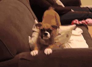 天津周边的旅游景点推荐一日游,天津周边旅游一日游攻略大全