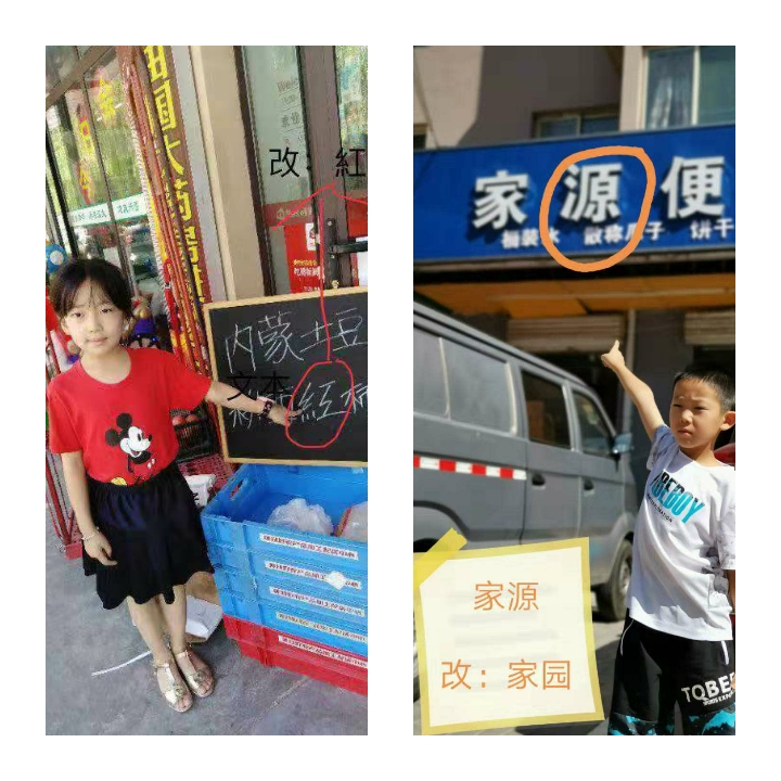 啄木鸟在行动错别字大全,啄木鸟在行动找错别字活动