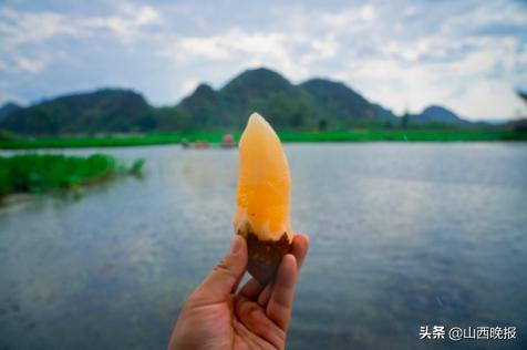 香甜的雪莲果,好吃的雪莲果哪里找