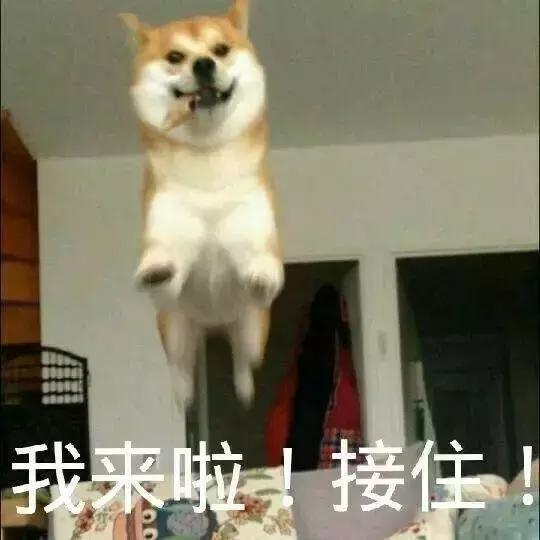 嗨到爆！装修不止省5万！家天下“818家装狂欢半价日”来袭