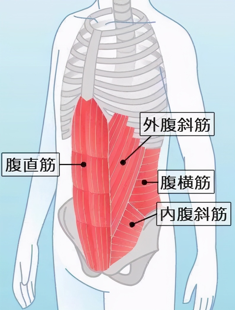 卷腹收腹瘦腰动作加长版,瘦肚子腰上赘肉最有效的方法卷腹