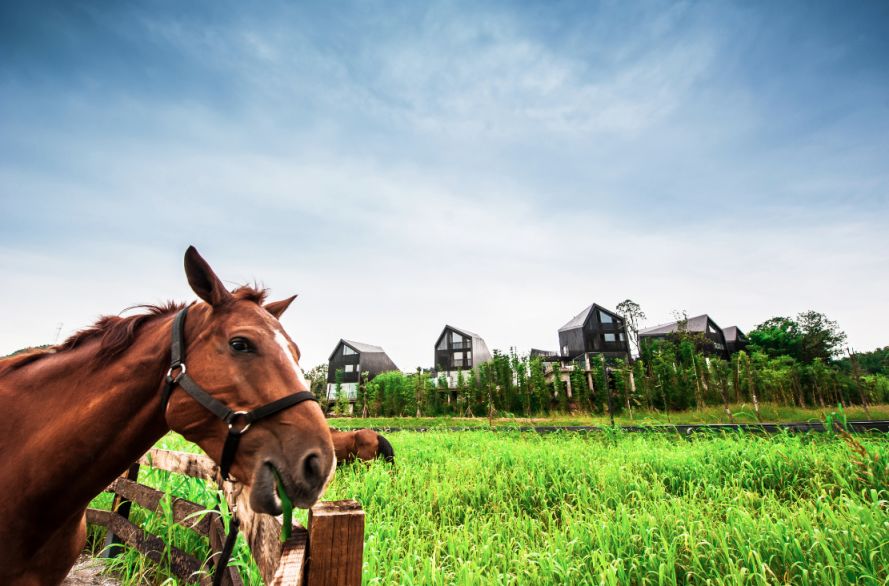 罗浮山清水湖民宿订房,全家出游避暑