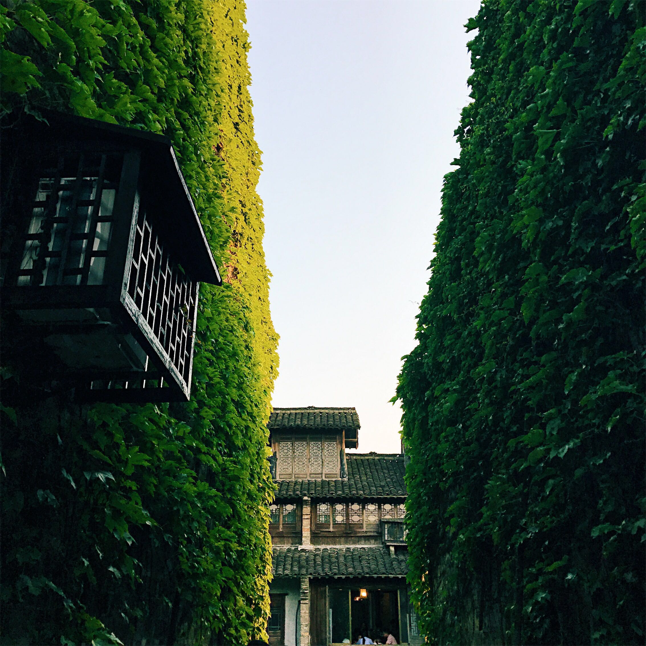 很有诗意的江南水乡古镇,推荐旅游的江南烟雨古镇