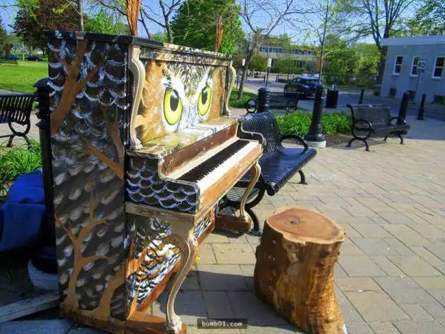 最有意境的照片关于钢琴,全球最美100张照片