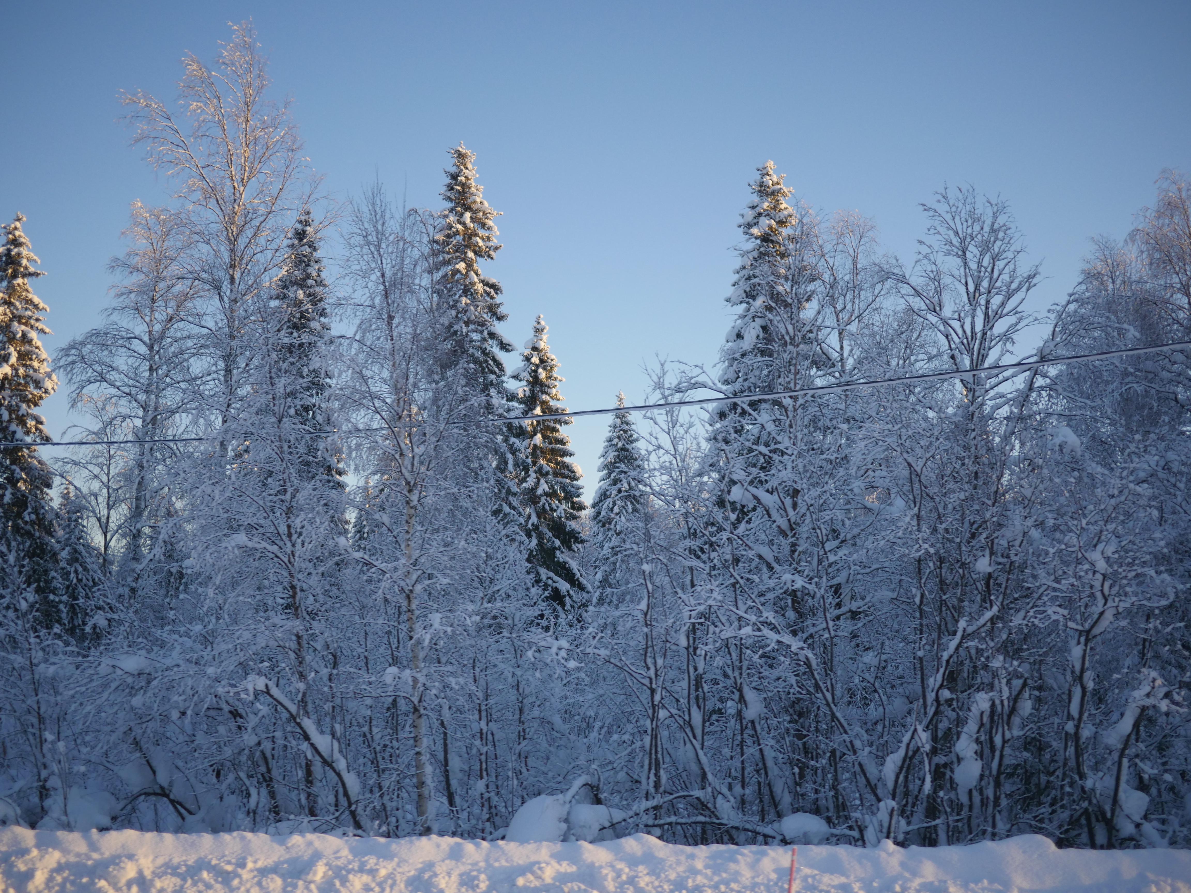 寒冬将至，2019冬季的魔力Taikatalvi-芬兰冬季文化营回顾