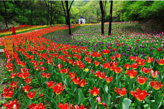 自驾游济南南山好玩的攻略,济南冬季自驾游必去十大景点