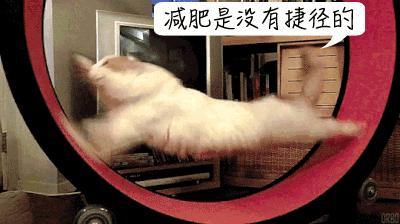 邓莎被烧伤原因,邓莎拔火罐被烧伤视频