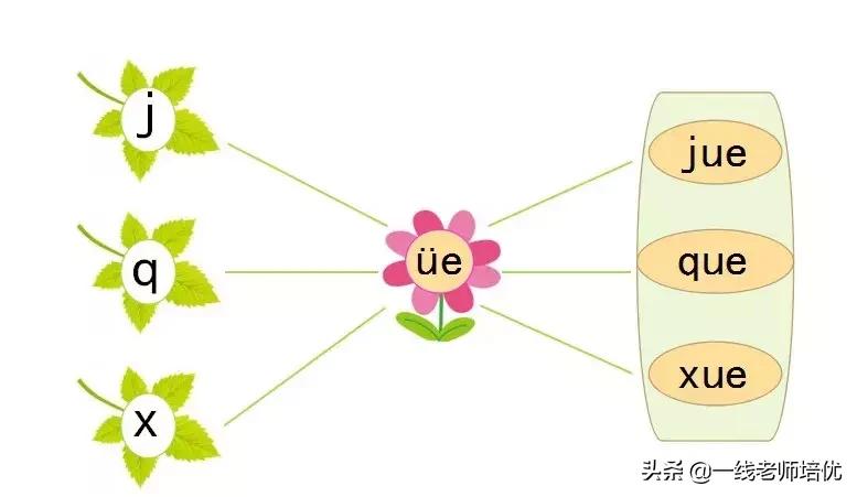 知识点+同步练习题部编版一年级语文上册拼音11ieüeer