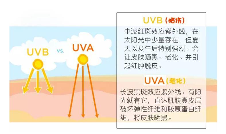 防晒霜uva和uvb分别代表什么,关于防晒的知识你入手防晒霜了吗
