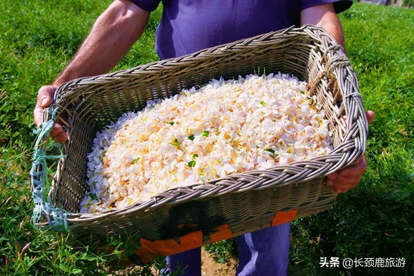 比较好用且价格实惠的香水,买到一支好用还不贵的香水