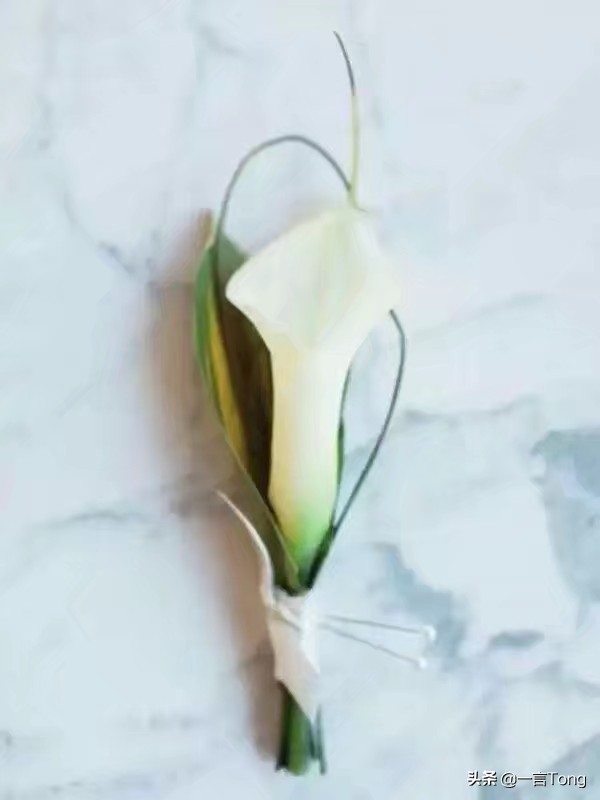 高贵雅致马蹄莲,高贵优雅马蹄莲永生花