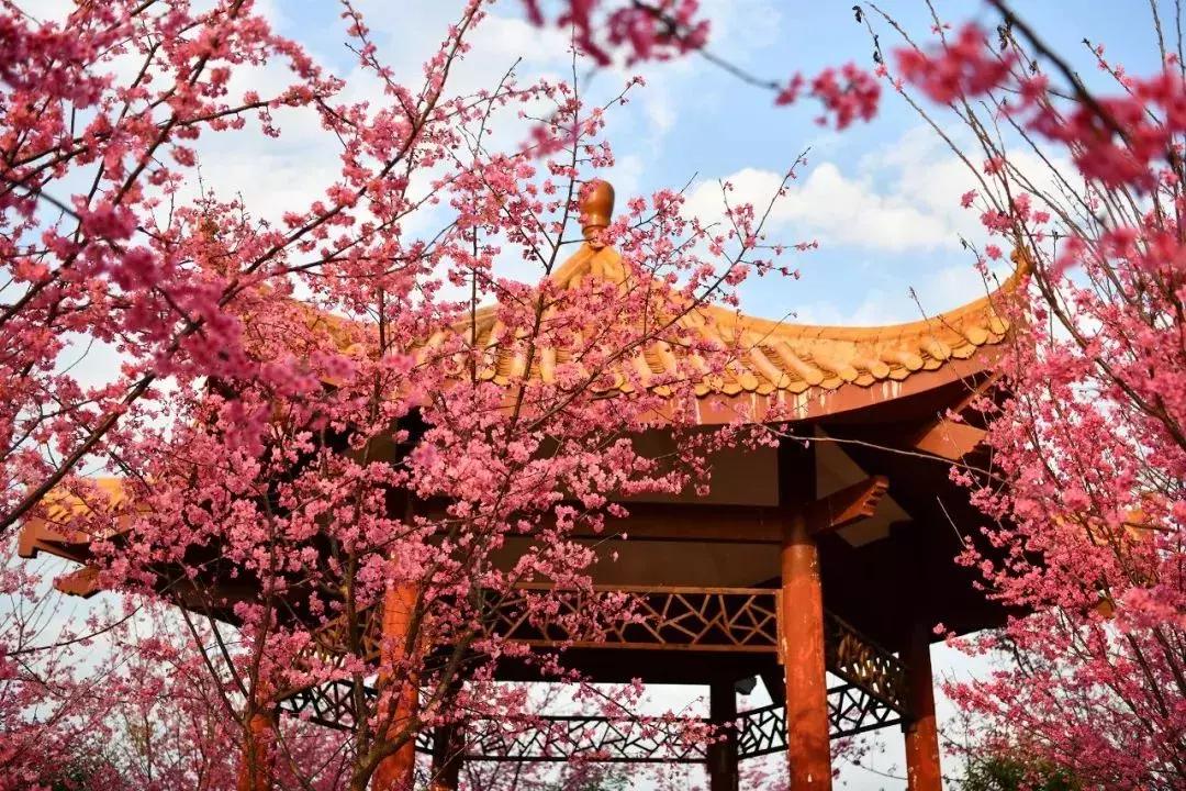 章贡区五龙客家风情园要不要门票,五龙客家风情园免票