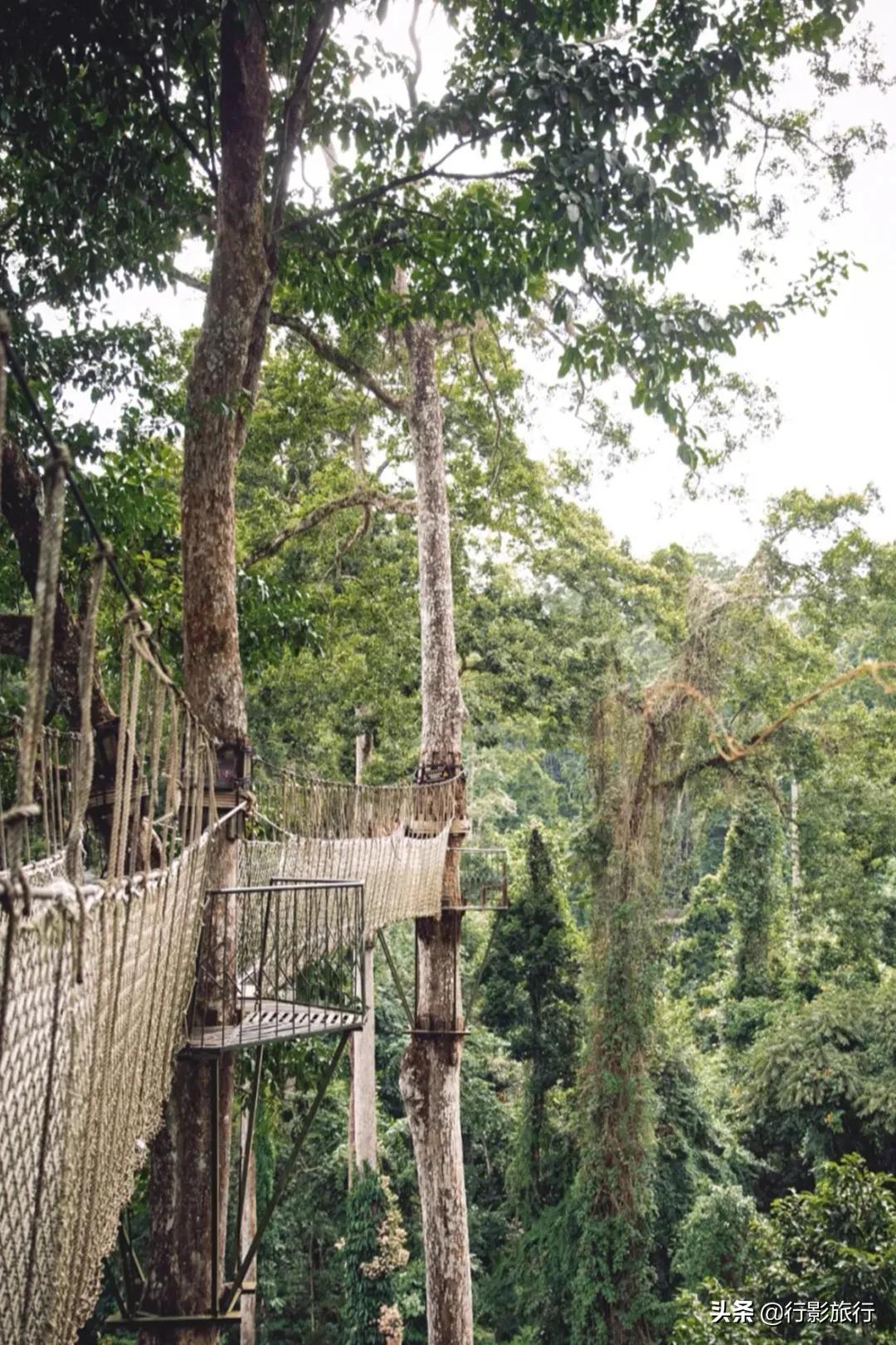 介绍一下云南的西双版纳,云南西双版纳的介绍景点