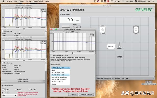 燕瘦环肥——Genelec The Ones 8341玩法初探