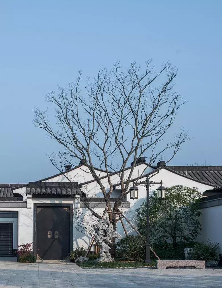 安吉桃花源芳竹园户型,绿城安吉桃花源隐竹园