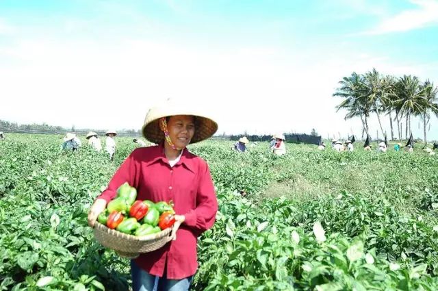 海南省临高县历史,海南临高风土人情