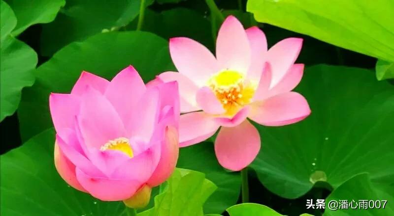 双色球127期讲解,2022127期双色球精选6+1一注