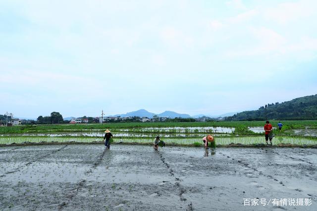 五一旅拍途中,我竟然在这山里当了“耕夫”