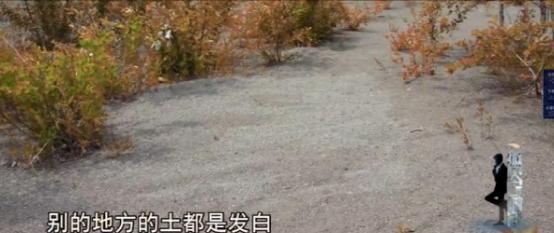 今日说法十大奇案第一集,今日说法10大奇案