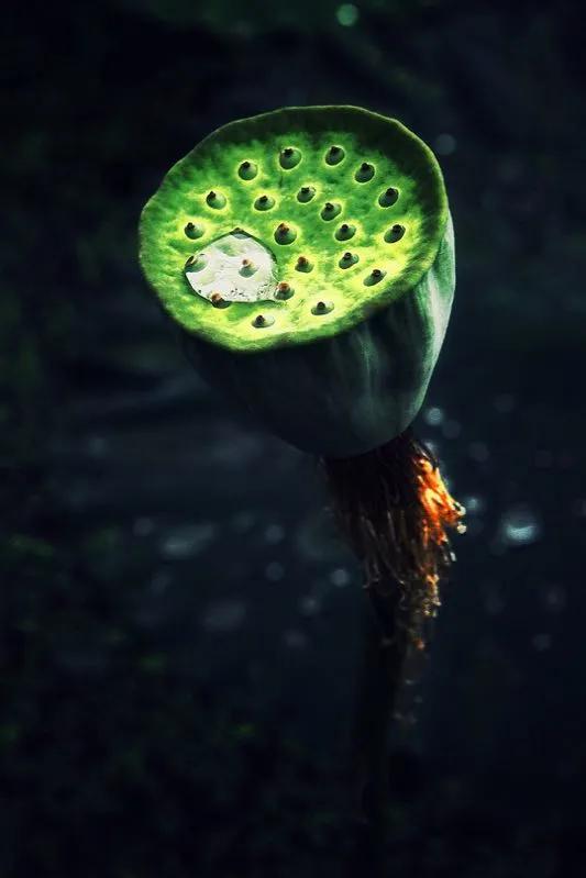 仲夏：在一本古籍中与明朝的云南县相遇