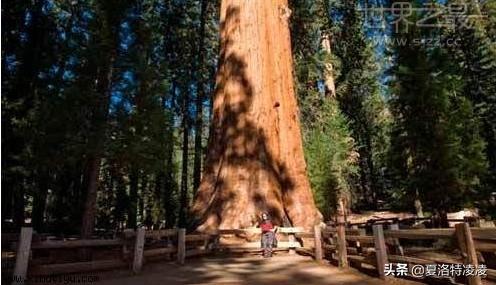 亲爱的老屋拆迁,亲爱的老屋的散文