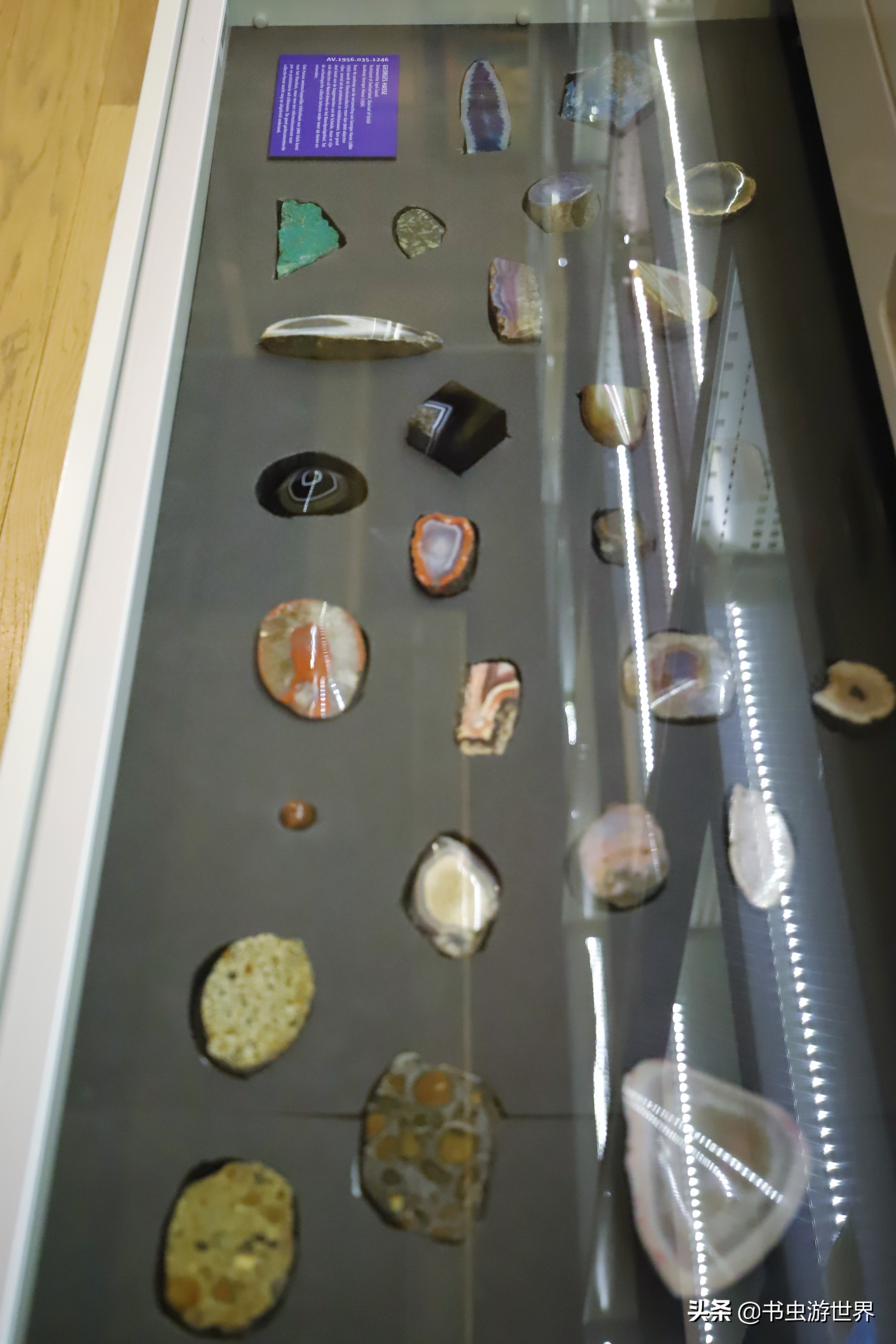 安特卫普景区有哪些,安特卫普地理位置图