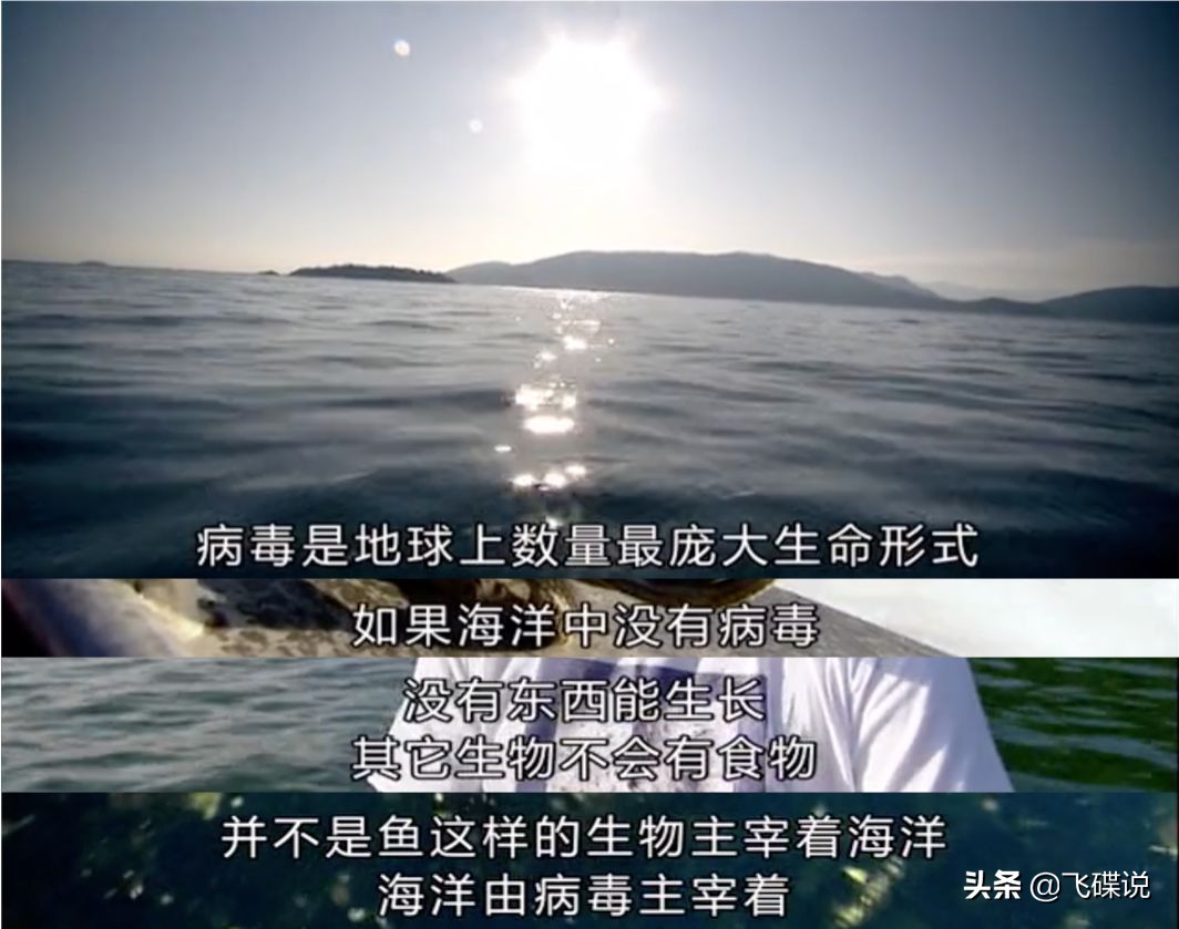 疫情期间我们如何防控病毒,病毒预防很重要防护意识要增强