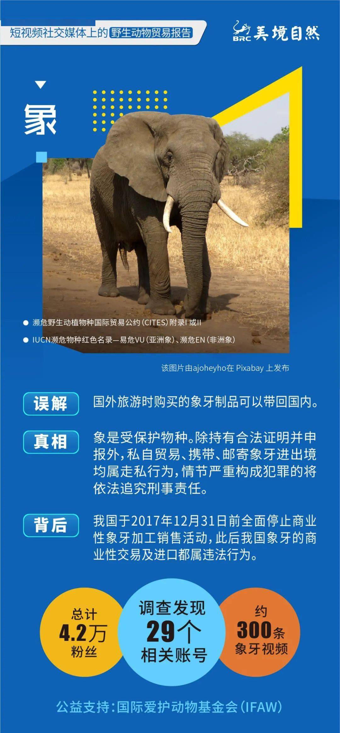 短视频以及电商生态研究报告,短视频与直播电商行业调研报告