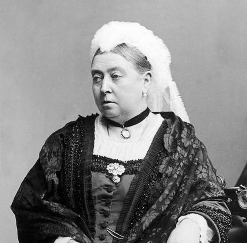 女王养成记智慧,女王养成记电影