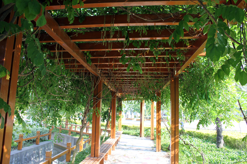 盐城中学高考状元2008,盐城高考最高成绩的人是谁