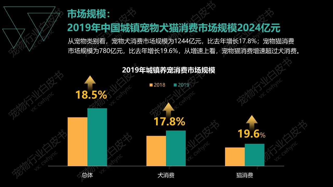 新兴职业时间自由收入又高？来看看一位90后猫舍店主的真实经历