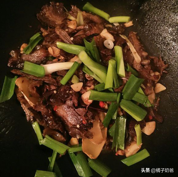 养殖豪猪的风险,豪猪的养殖前景怎样