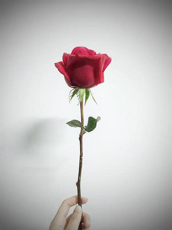 机构月嫂和个人月嫂怎么选择,月嫂要具备什么条件才是好月嫂