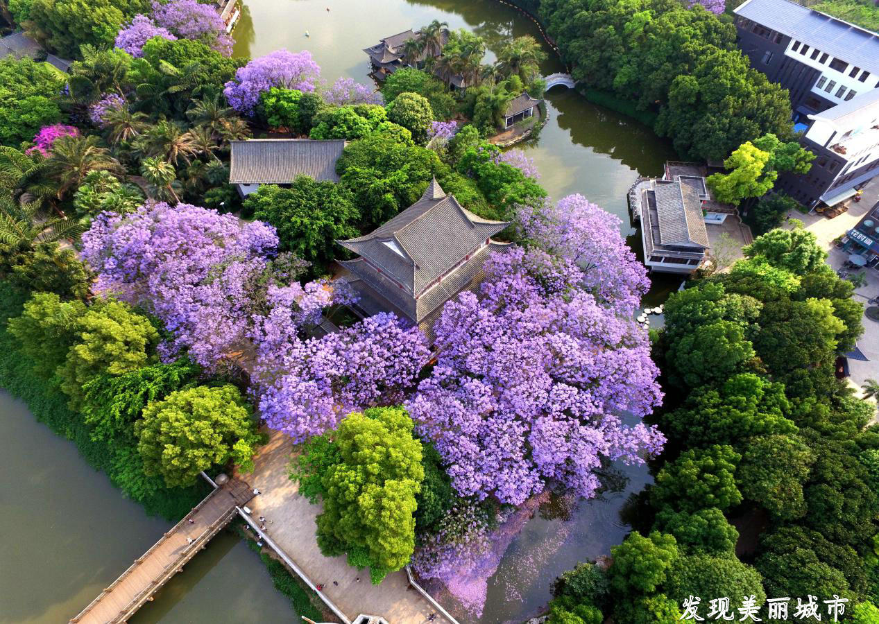 红河开远景点,红河开远美女