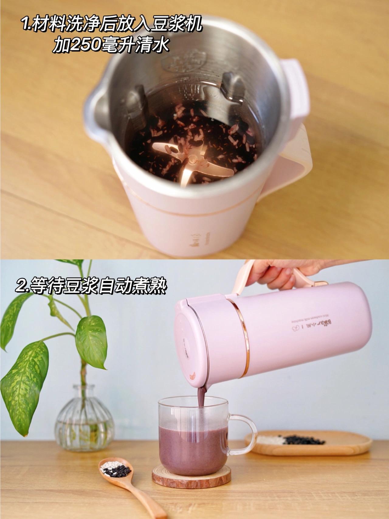 豆浆机食谱100种早餐简易,在家可以做的豆浆机