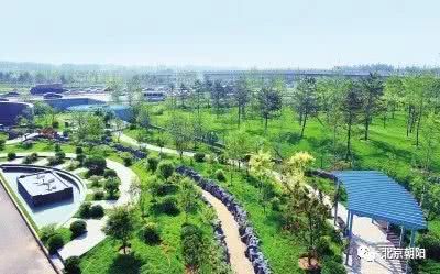 朝阳群众最新动态,朝阳群众辉煌战绩