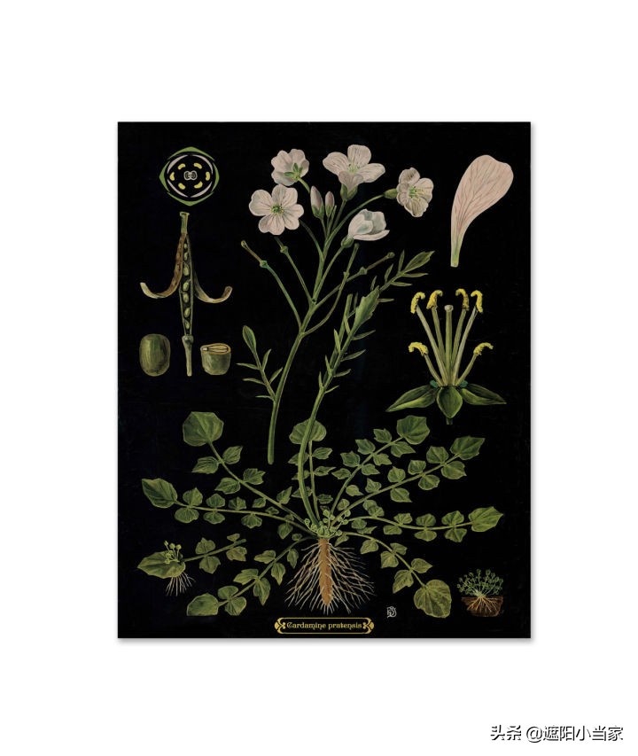 笔触丝滑的装饰画,仙气飘飘的小装饰画