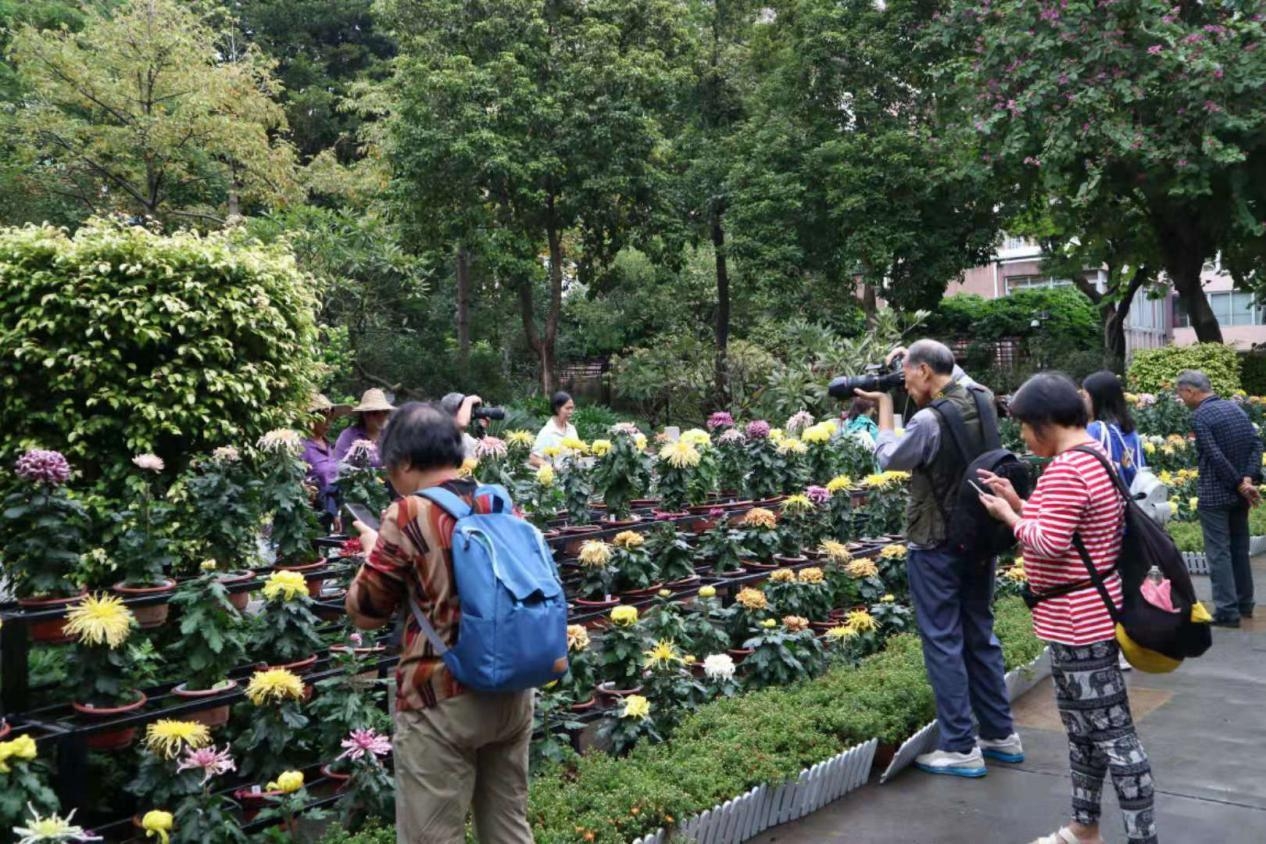 第63届广州羊城菊花展,第59届羊城菊花会